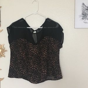sheer leopard print crop top